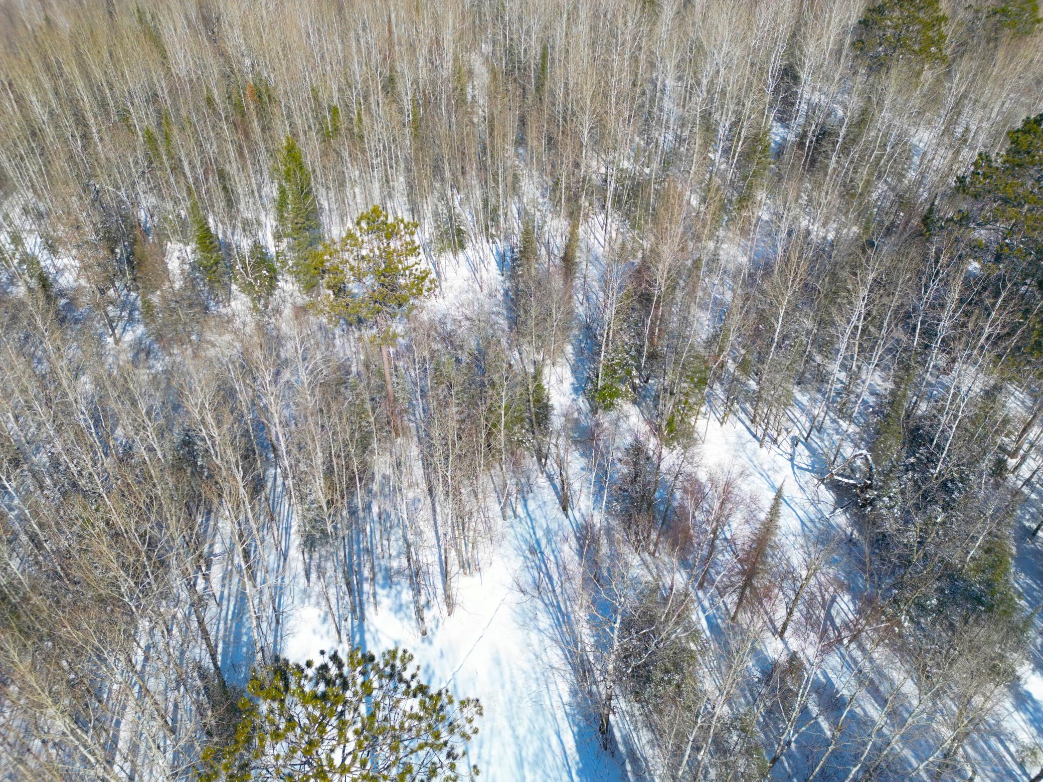 72-xx East Central Lakes Road Eveleth, MN 55734 - Photo 11 of 29