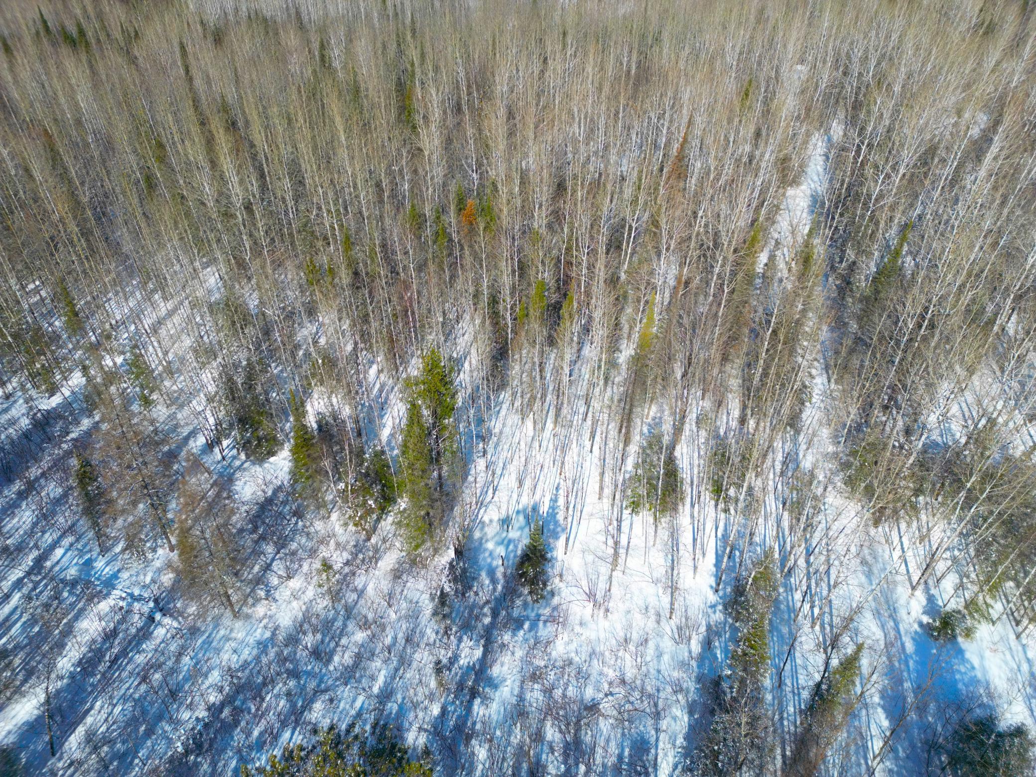 72-xx East Central Lakes Road Eveleth, MN 55734 - Photo 12 of 29