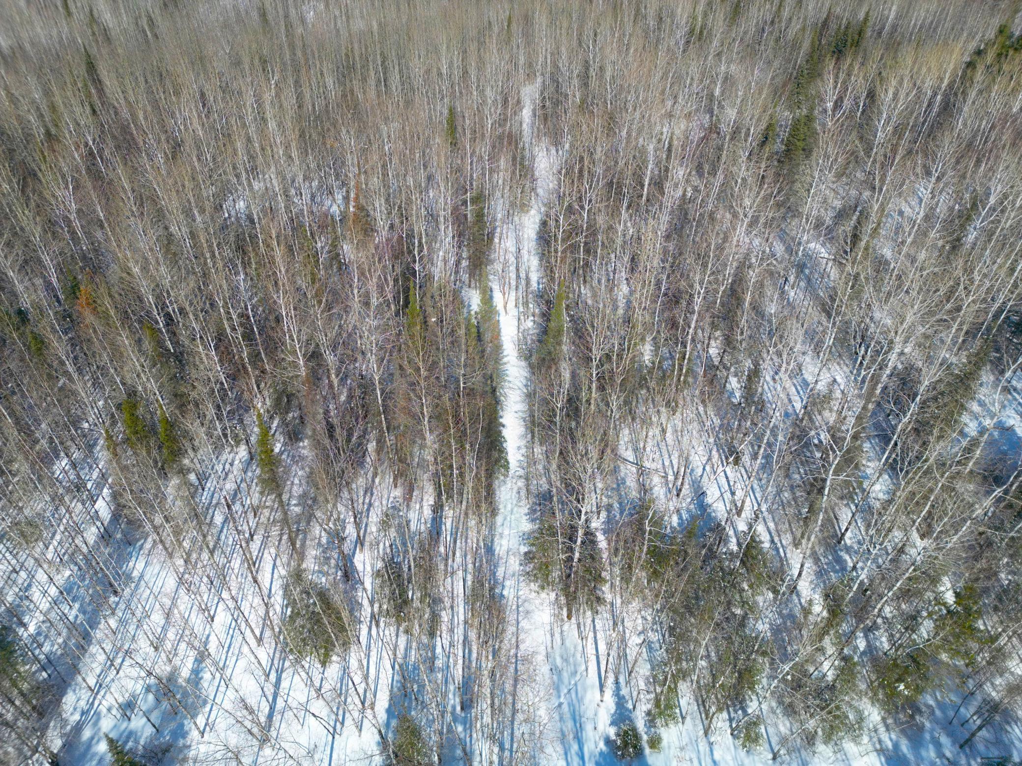 72-xx East Central Lakes Road Eveleth, MN 55734 - Photo 13 of 29