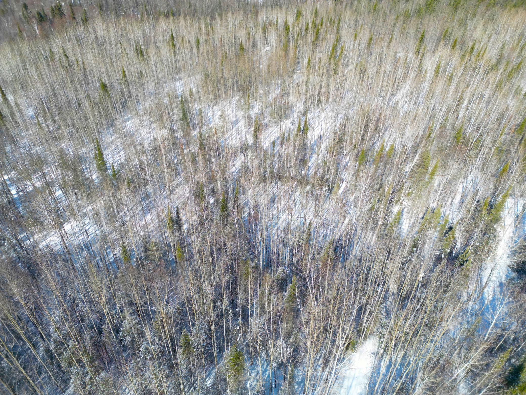 72-xx East Central Lakes Road Eveleth, MN 55734 - Photo 14 of 29