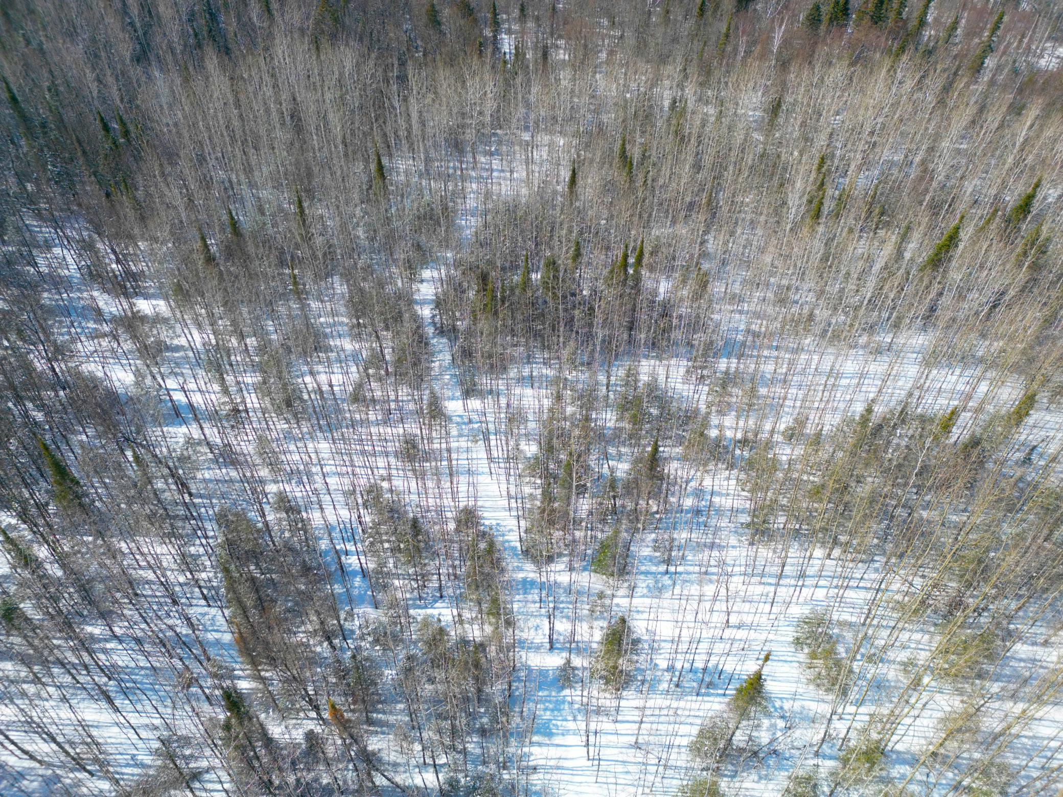 72-xx East Central Lakes Road Eveleth, MN 55734 - Photo 15 of 29