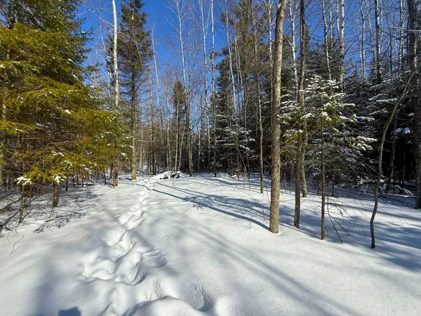 $45,000 | 72-xx East Central Lakes Road, Eveleth, MN 55734