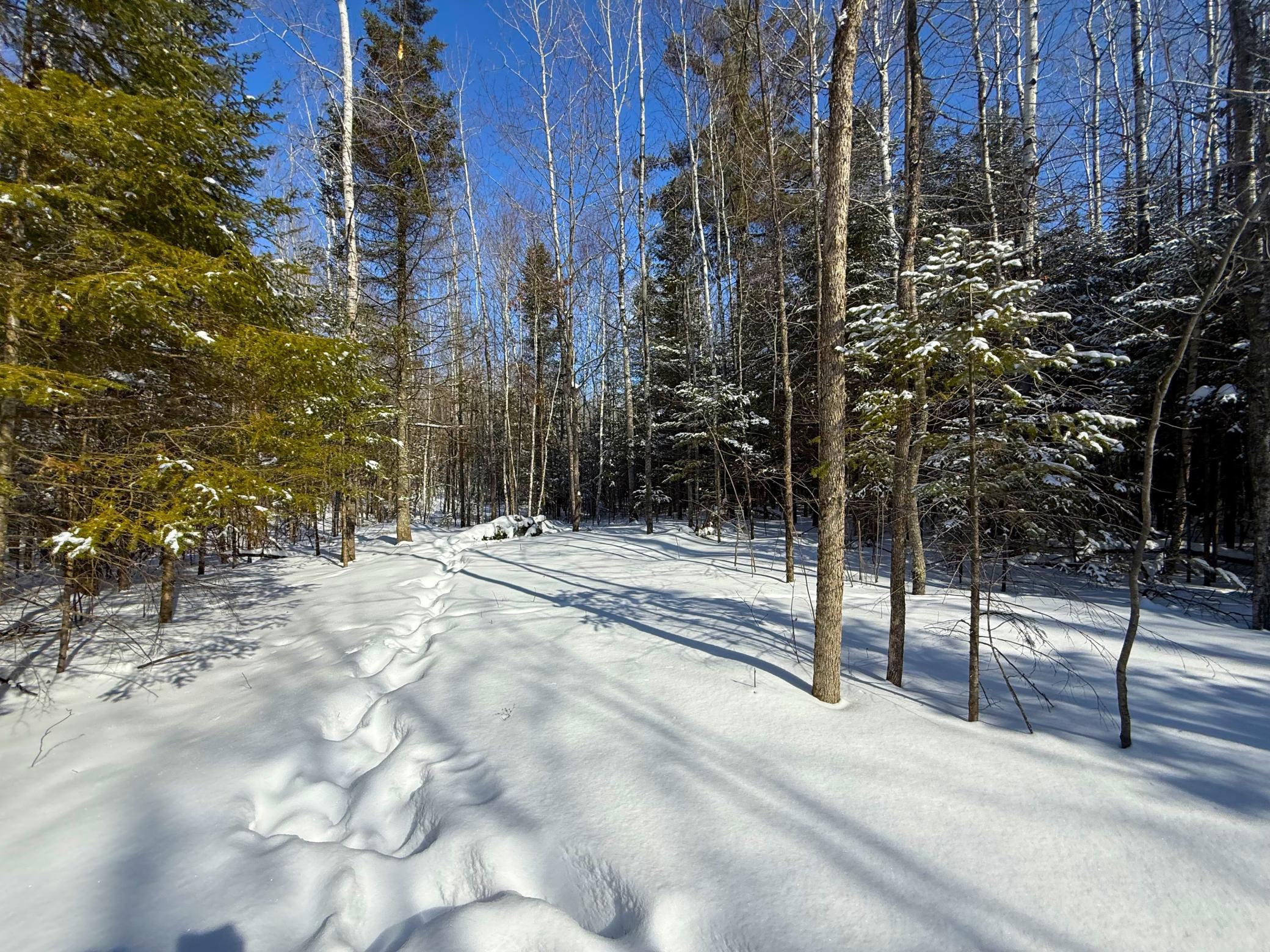 72-xx East Central Lakes Road Eveleth, MN 55734 - Photo 19 of 29