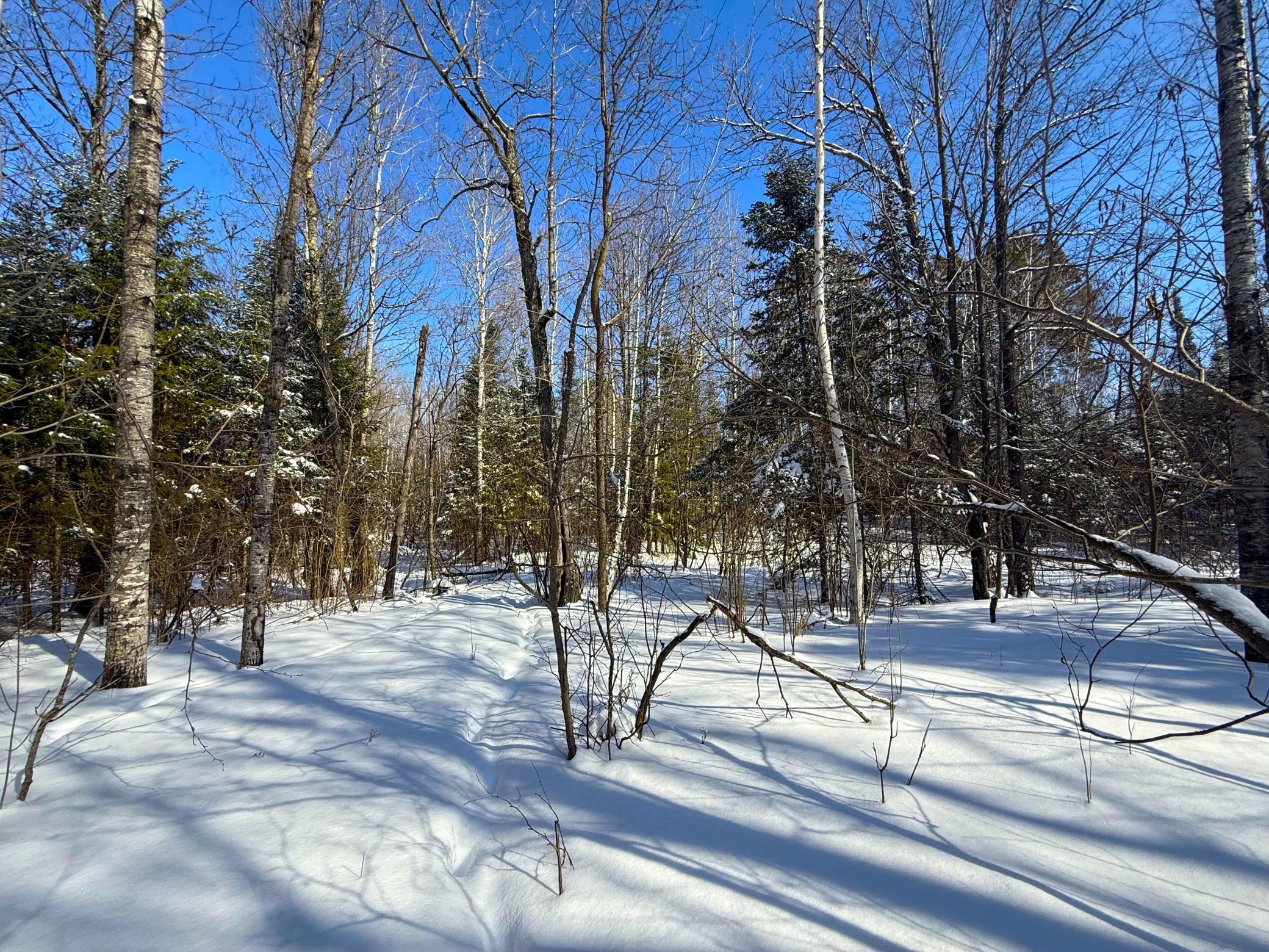 72-xx East Central Lakes Road Eveleth, MN 55734 - Photo 20 of 29