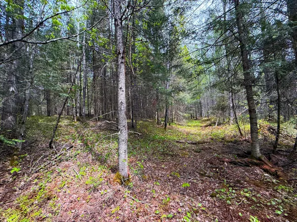 $45,000 | 72-xx East Central Lakes Road, Eveleth, MN 55734