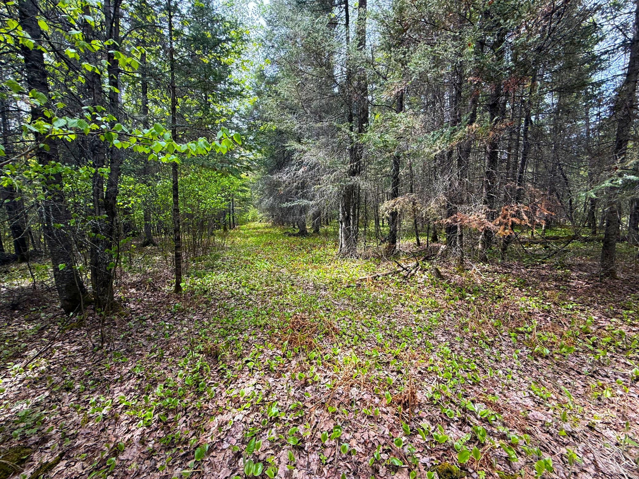 72-xx East Central Lakes Road Eveleth, MN 55734 - Photo 22 of 29