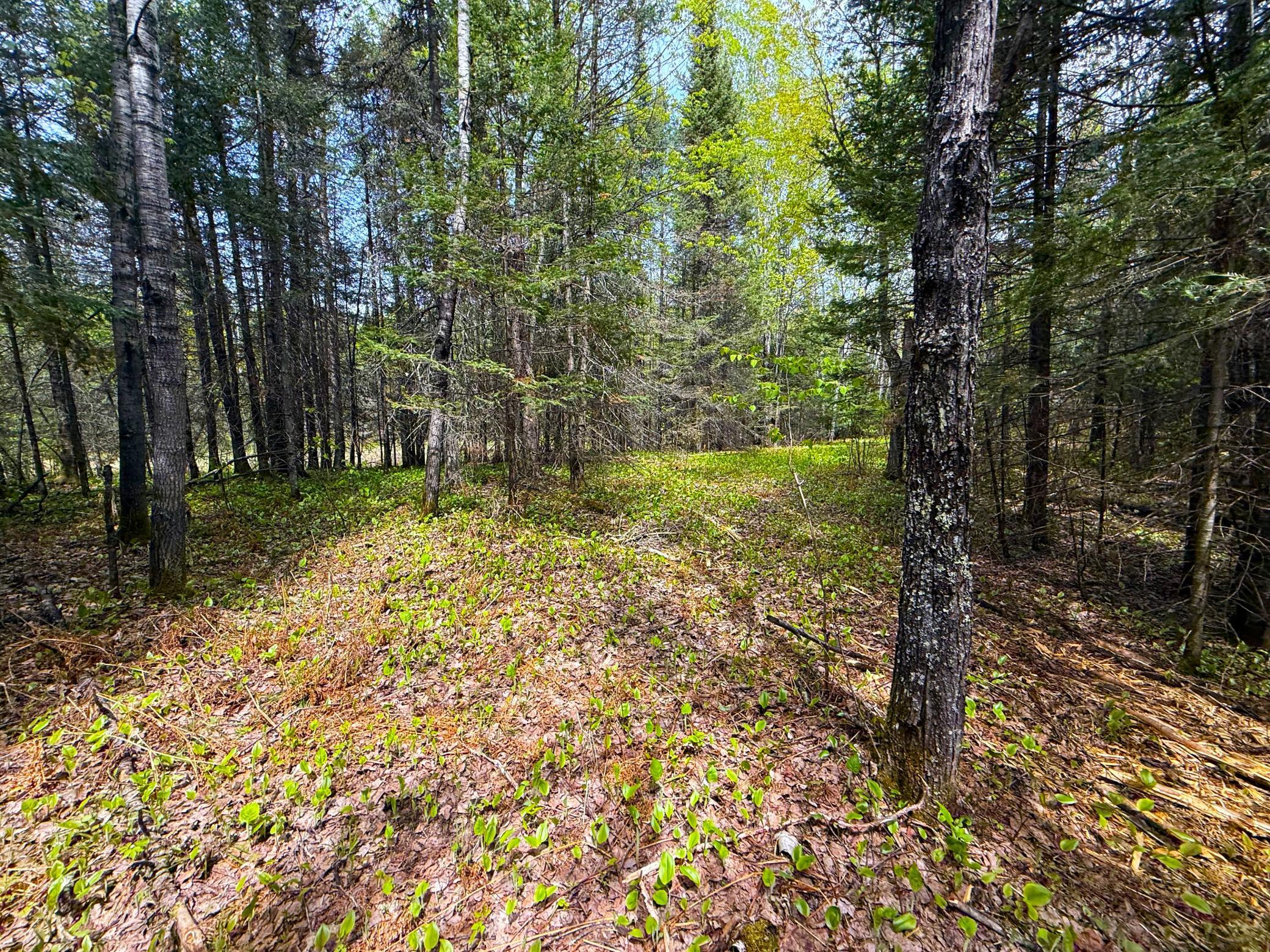 72-xx East Central Lakes Road Eveleth, MN 55734 - Photo 23 of 29