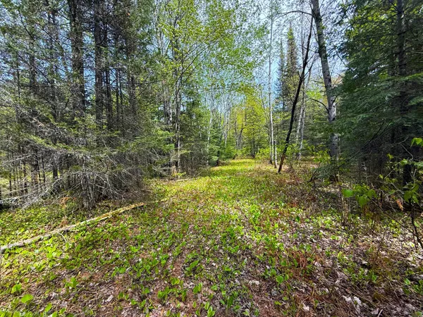 $45,000 | 72-xx East Central Lakes Road, Eveleth, MN 55734