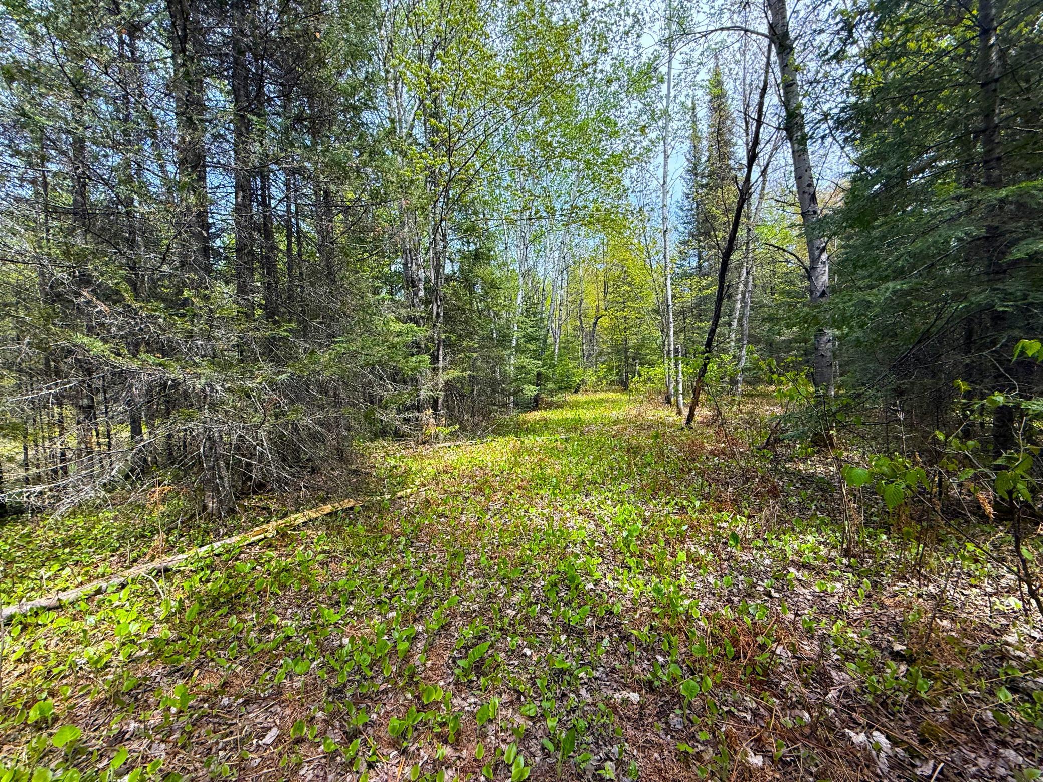 72-xx East Central Lakes Road Eveleth, MN 55734 - Photo 24 of 29