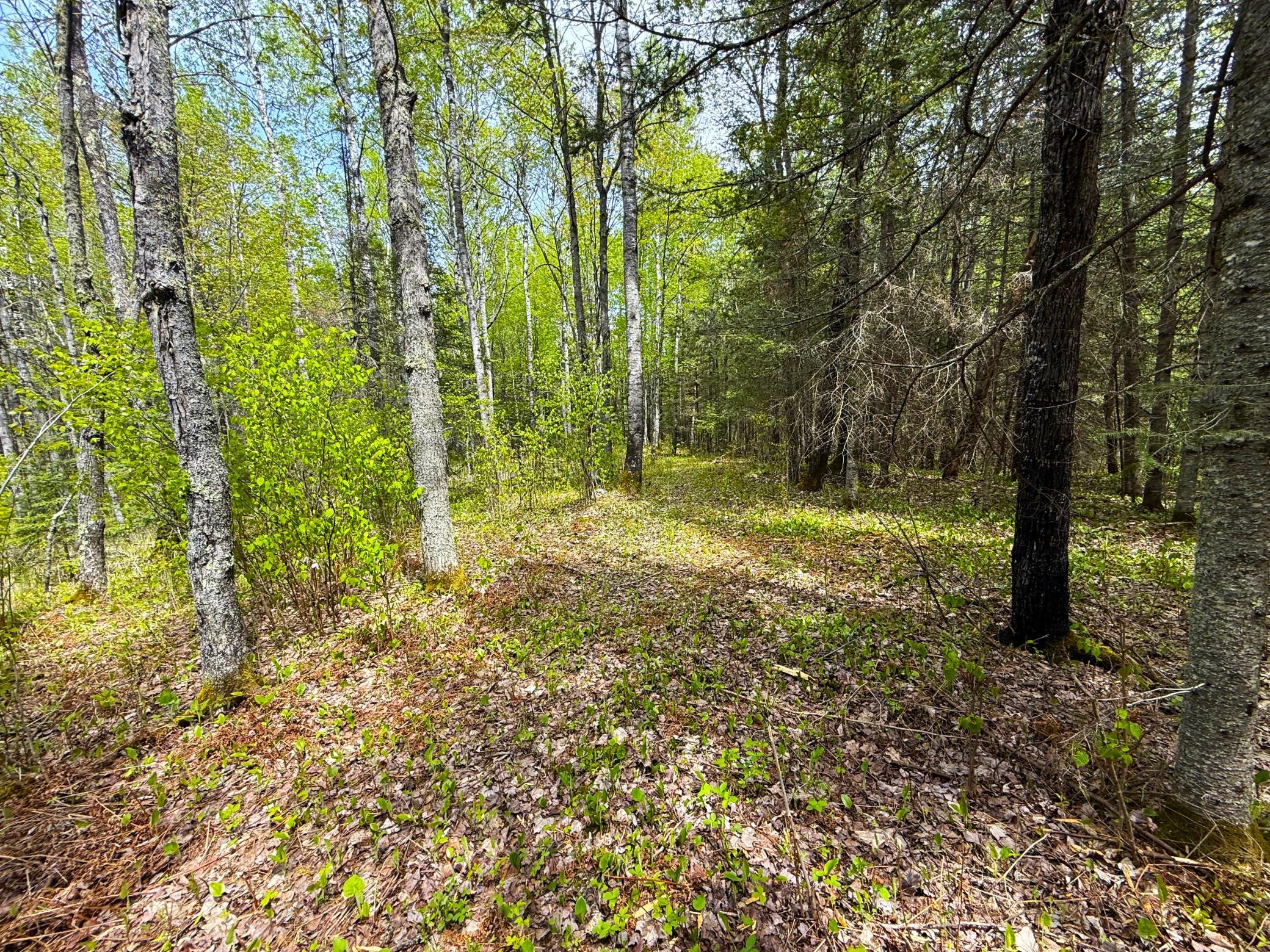 72-xx East Central Lakes Road Eveleth, MN 55734 - Photo 25 of 29