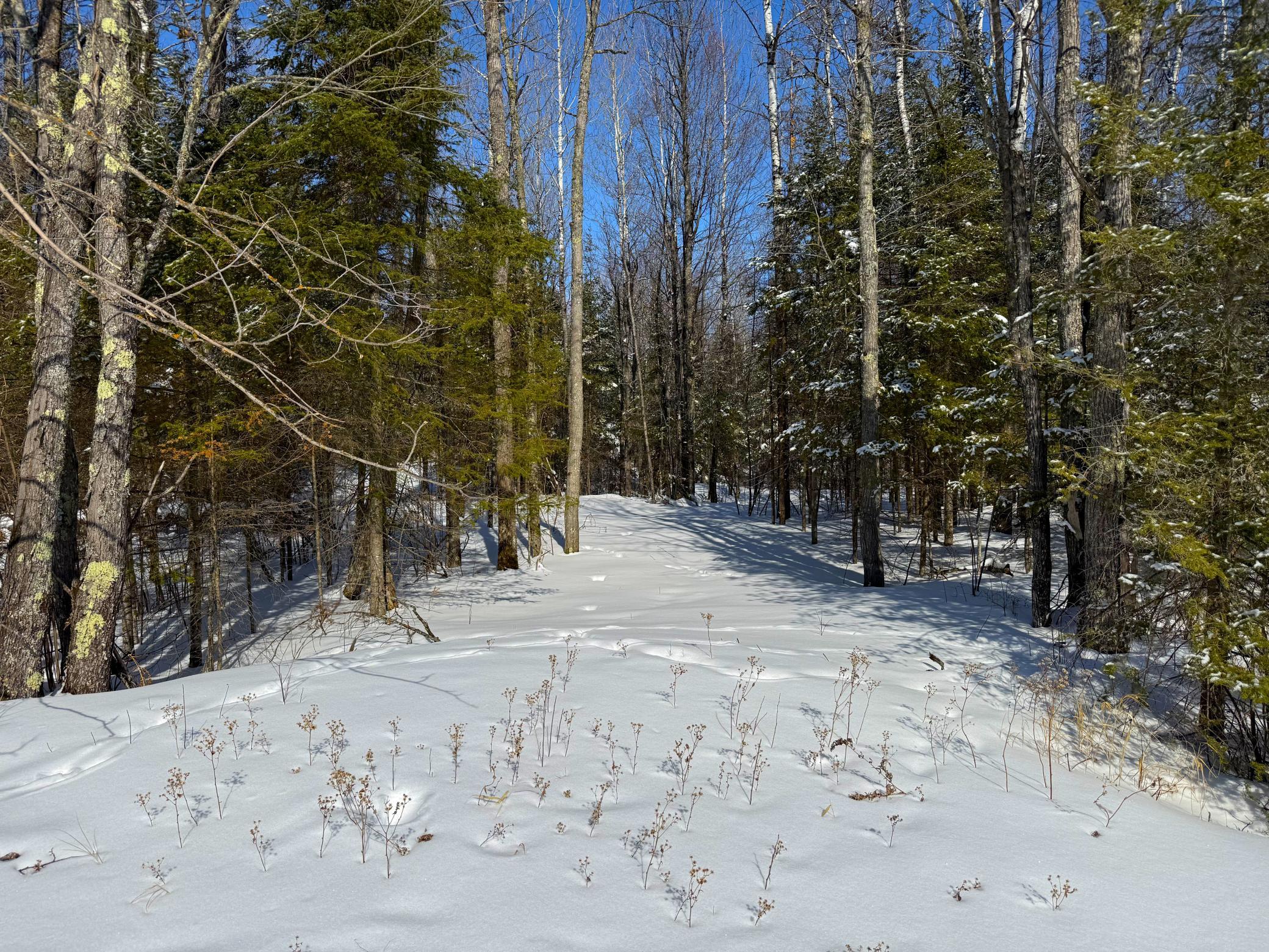 72-xx East Central Lakes Road Eveleth, MN 55734 - Photo 27 of 29