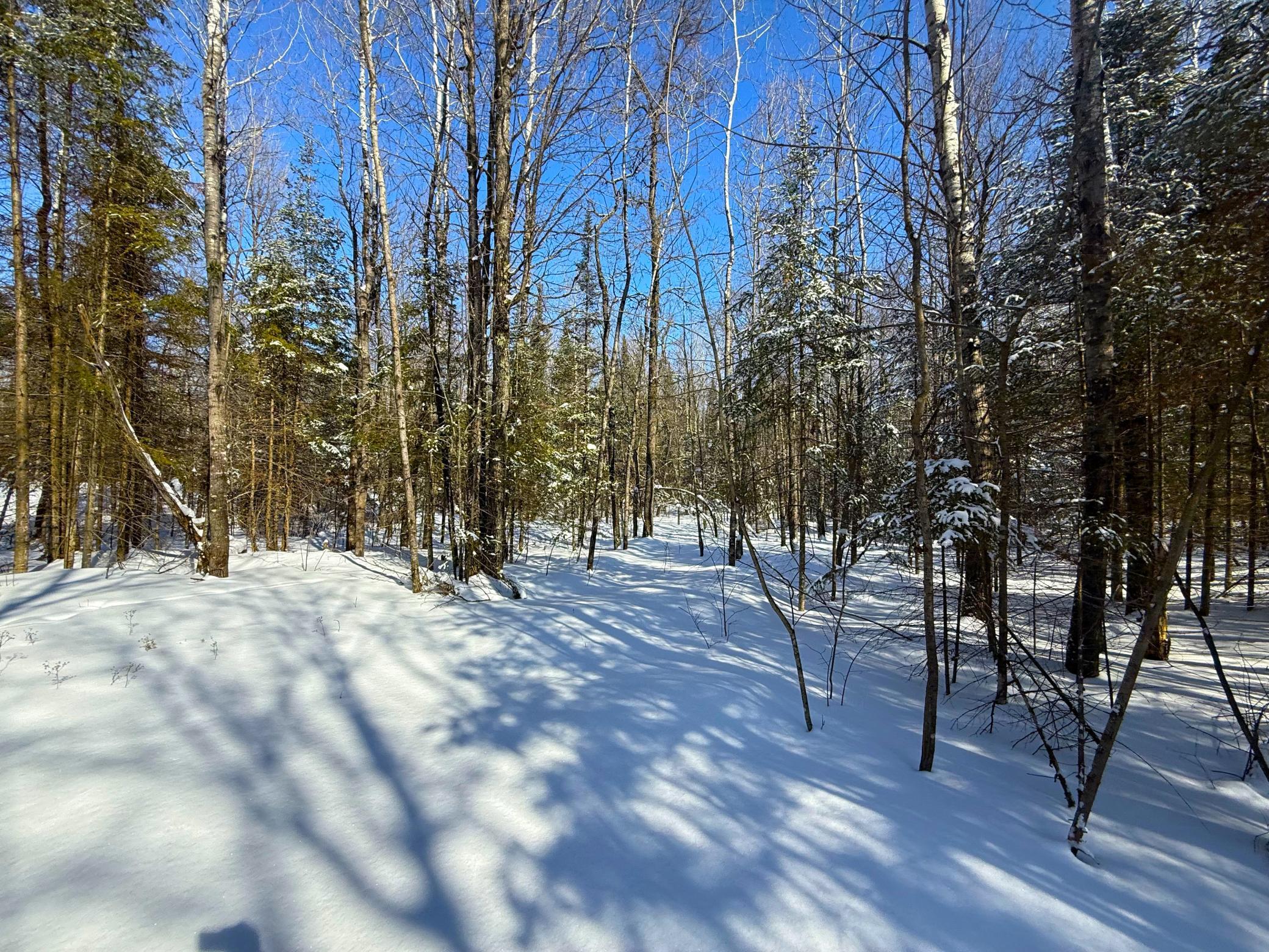 72-xx East Central Lakes Road Eveleth, MN 55734 - Photo 28 of 29