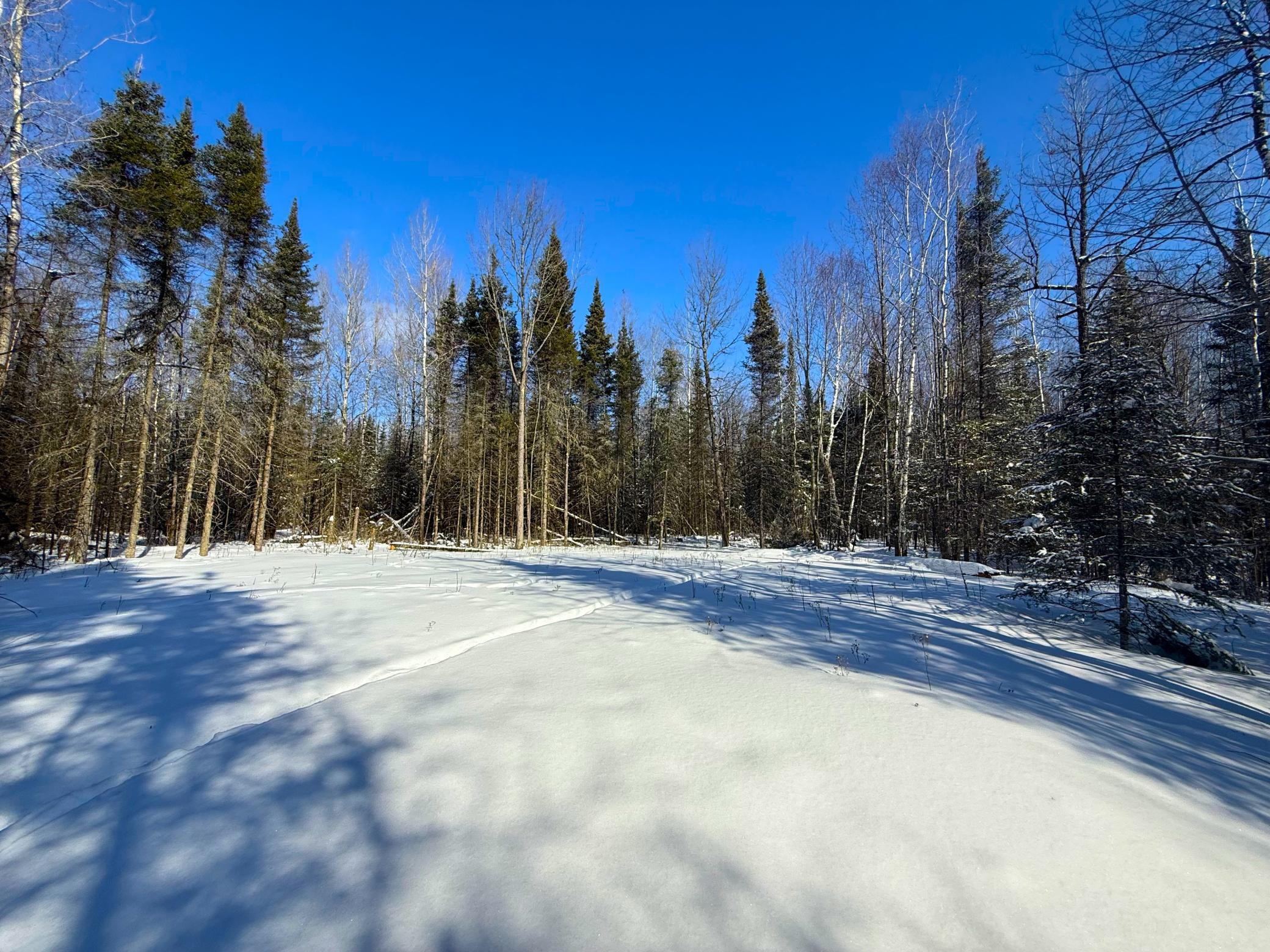 72-xx East Central Lakes Road Eveleth, MN 55734 - Photo 29 of 29