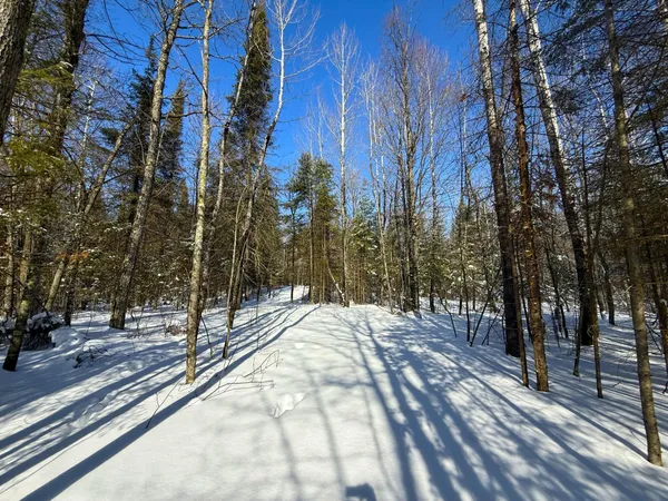 $45,000 | 72-xx East Central Lakes Road, Eveleth, MN 55734