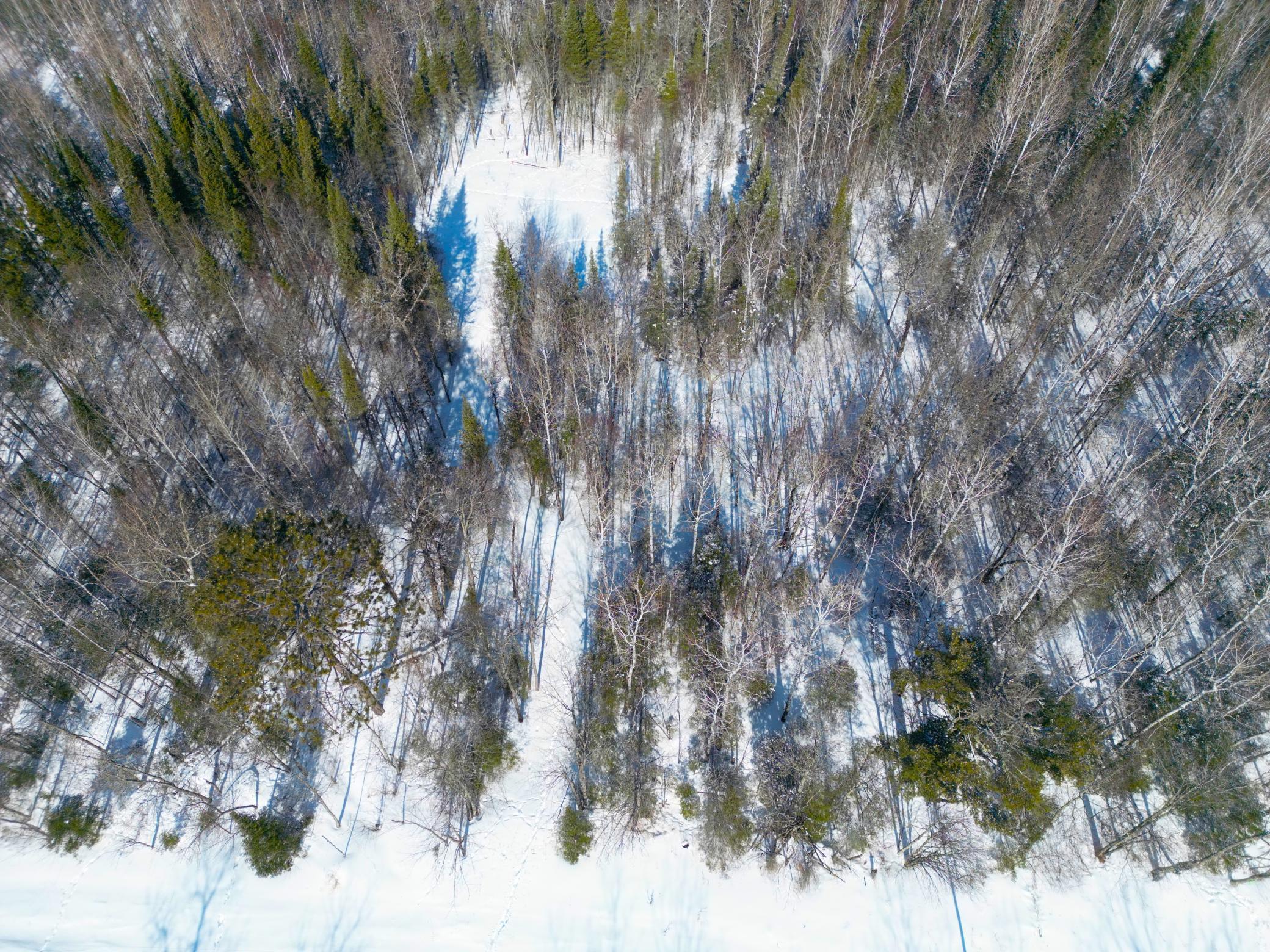 72-xx East Central Lakes Road Eveleth, MN 55734 - Photo 5 of 29