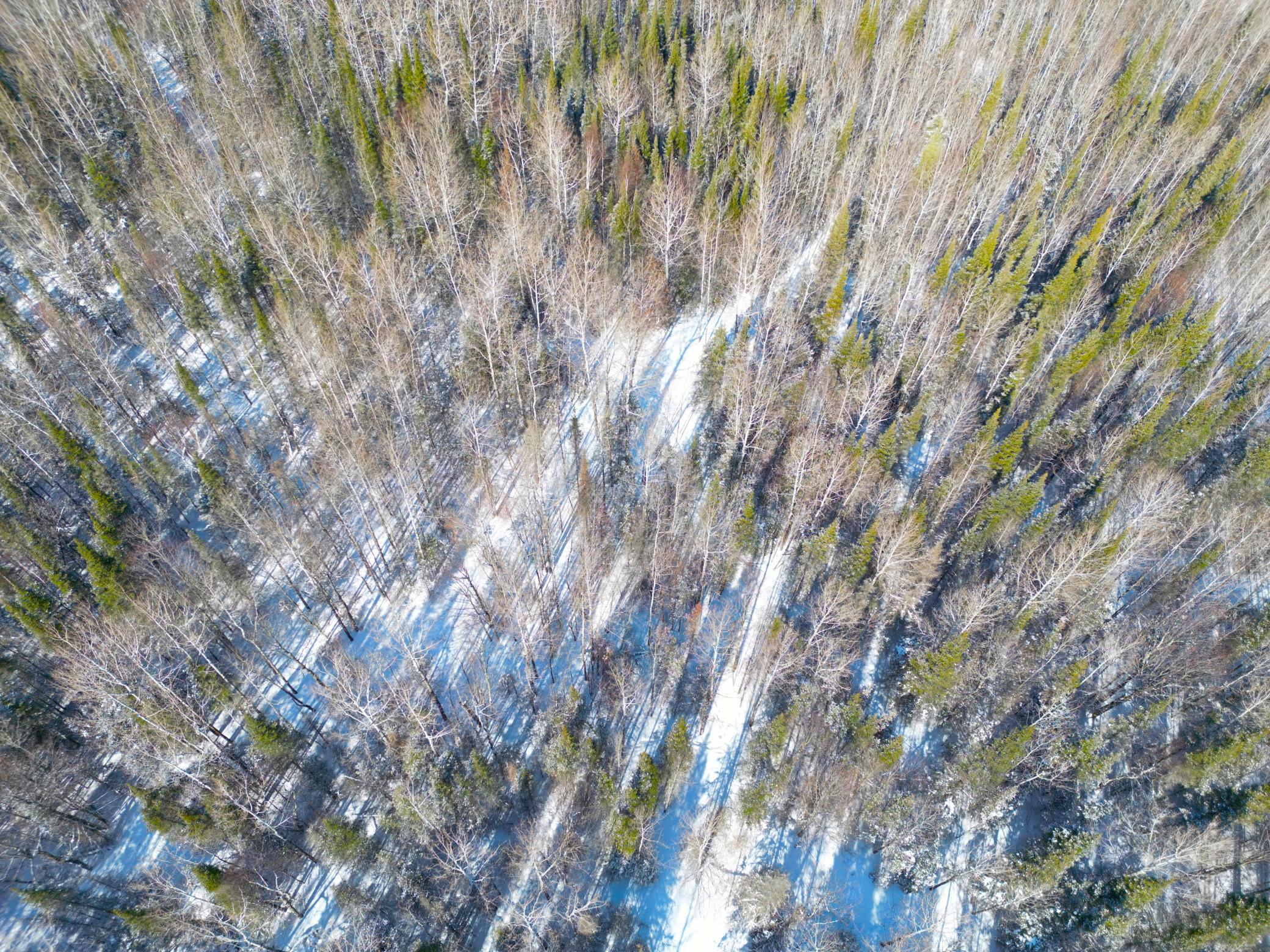 72-xx East Central Lakes Road Eveleth, MN 55734 - Photo 7 of 29