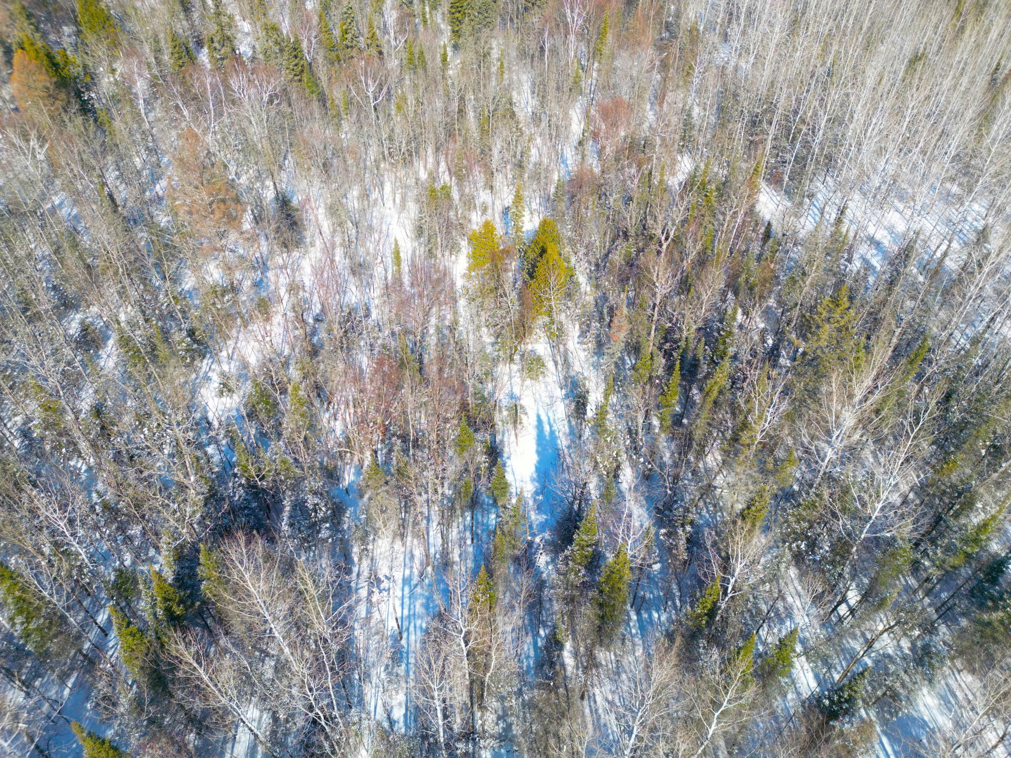 72-xx East Central Lakes Road Eveleth, MN 55734 - Photo 8 of 29