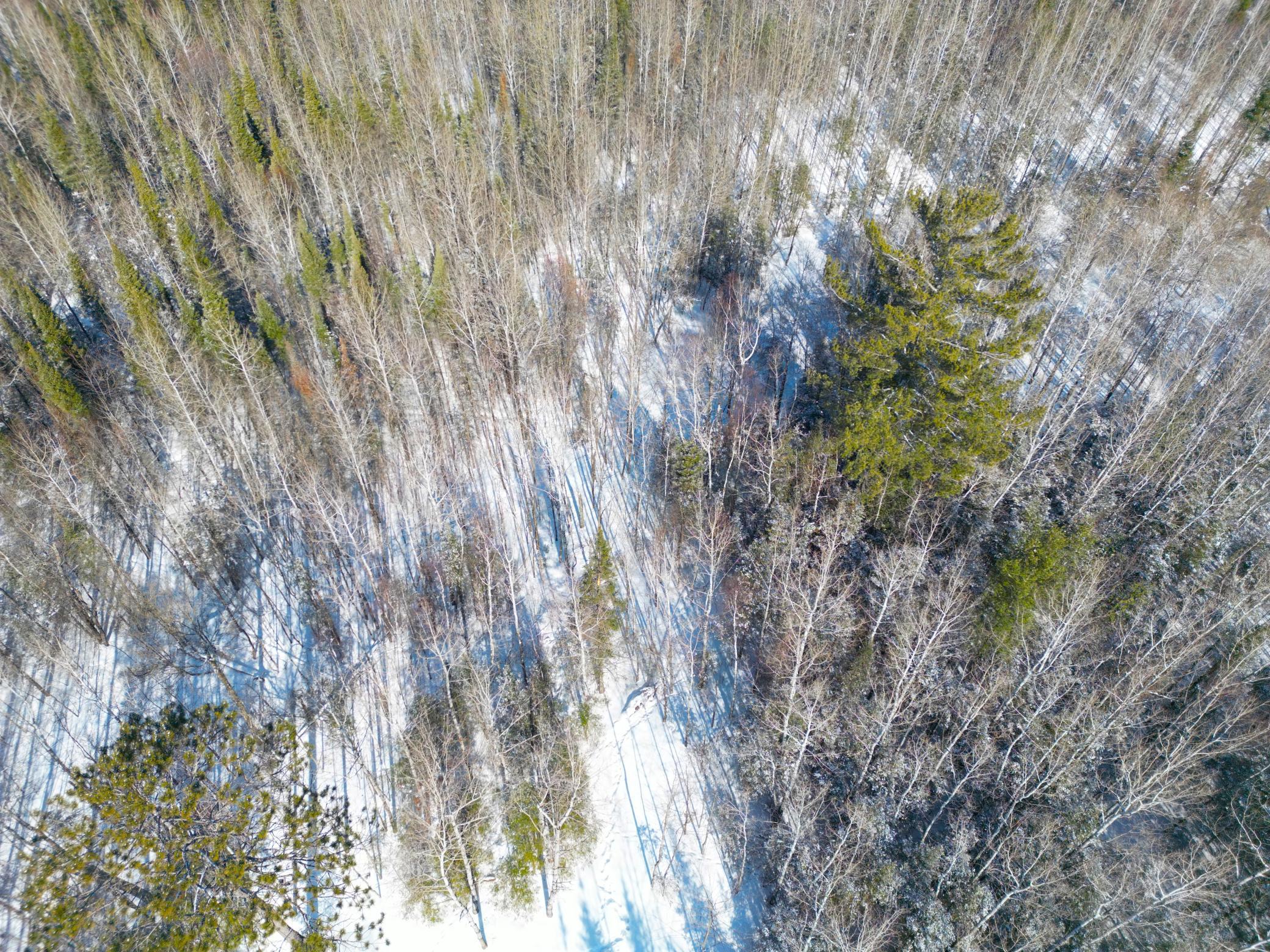 72-xx East Central Lakes Road Eveleth, MN 55734 - Photo 9 of 29