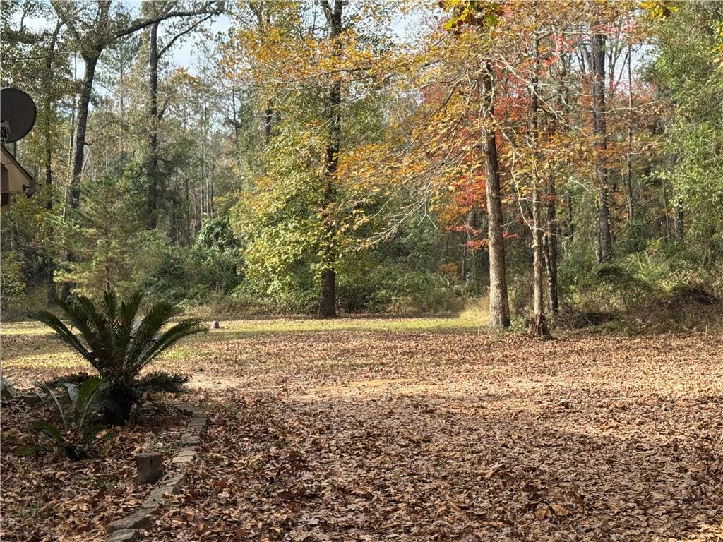 501 Highway 1241 Colfax, LA 71417 - Photo 42 of 56