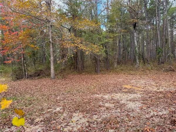 $198,500 | 501 Highway 1241, Colfax, LA 71417