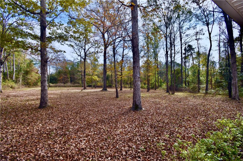 501 Highway 1241 Colfax, LA 71417 - Photo 45 of 56