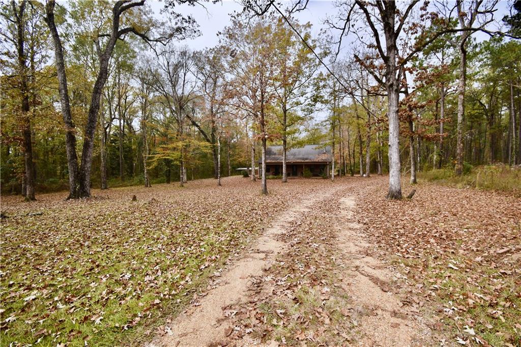 501 Highway 1241 Colfax, LA 71417 - Photo 47 of 56