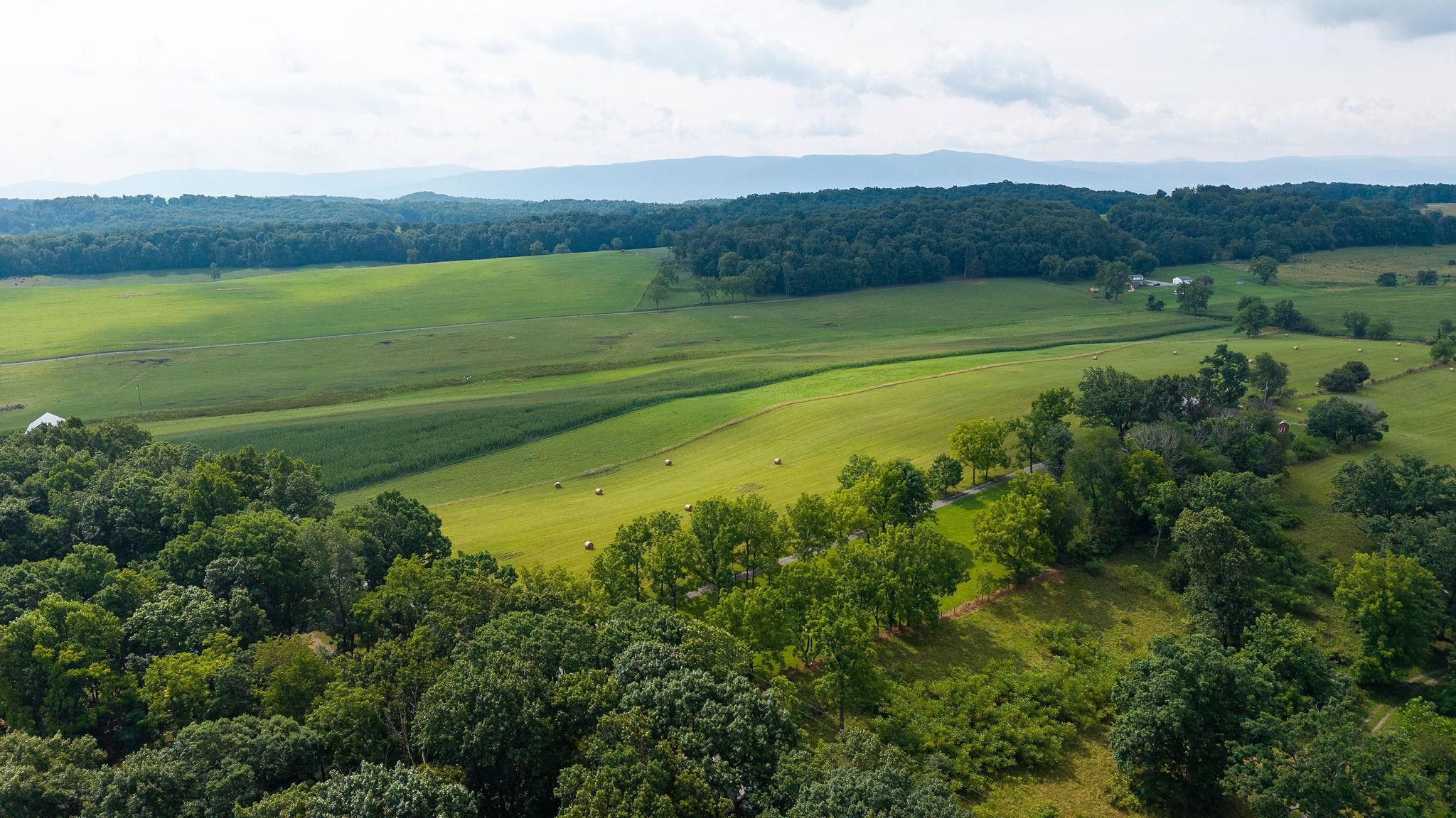 Tbd Stone Branch Road Staunton, VA 24401 - Photo 27 of 34 Gallery Image 27