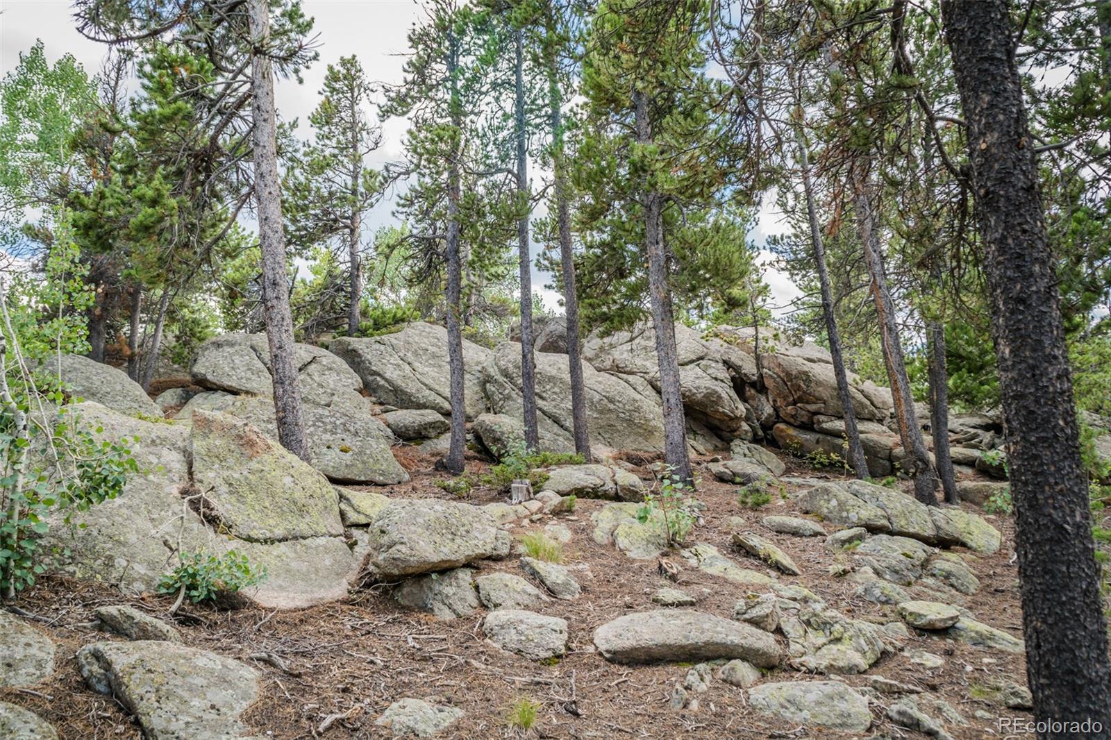 87 Debra Ann Road Golden, CO 80403 - Photo 31 of 35 Gallery Image 31
