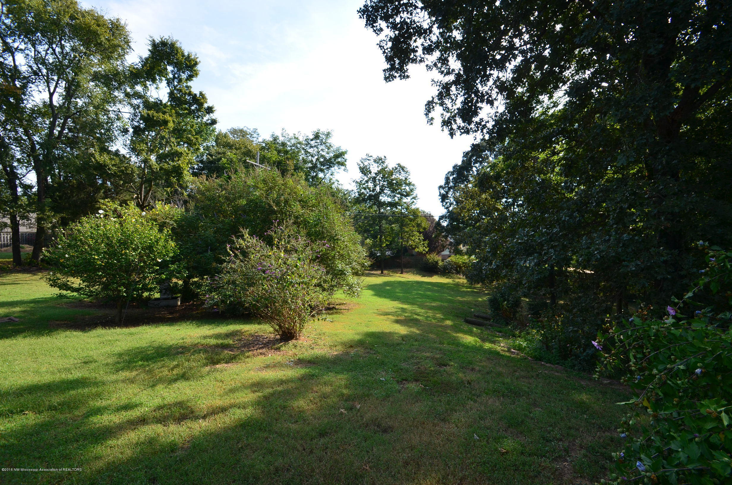 5096 Belmont Road Hernando, MS 38632 - Photo 21 of 21 Back yard1