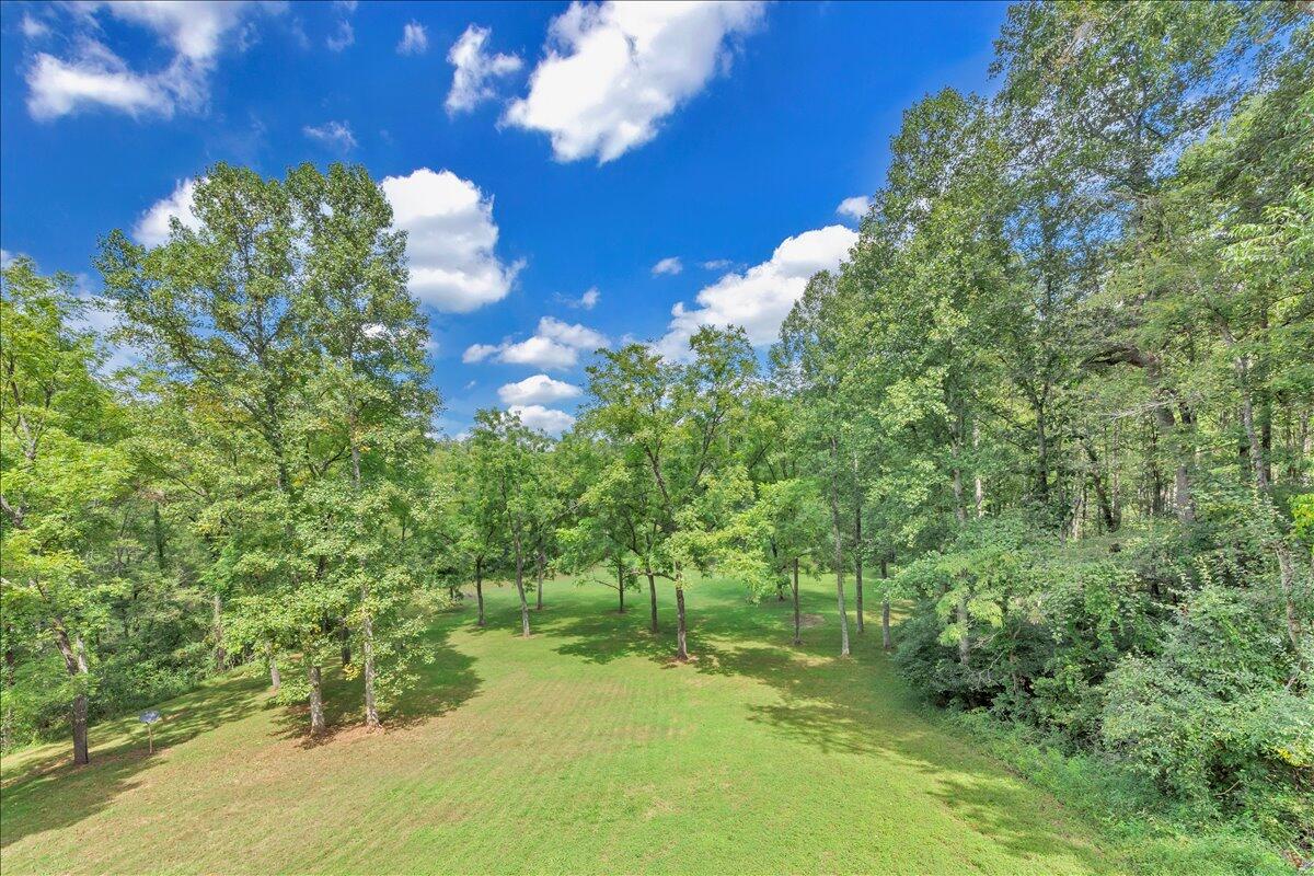 2011 Deep Woods Road Hardy, VA 24101 - Photo 54 of 94 a view of an outdoor space with a lake view