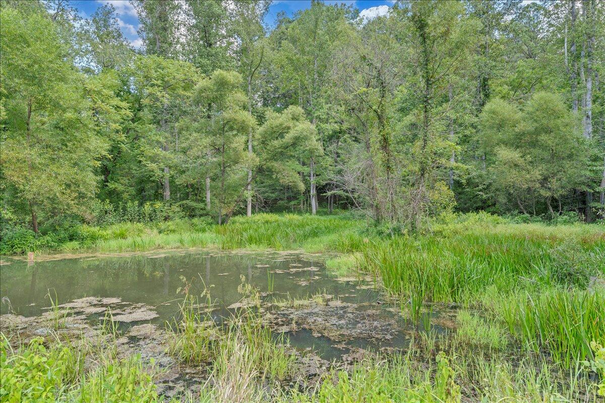2011 Deep Woods Road Hardy, VA 24101 - Photo 67 of 94 66-MIB03502