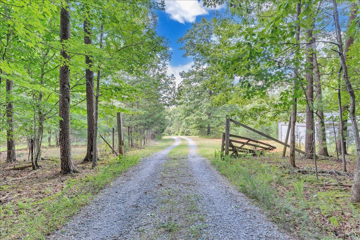 2011 Deep Woods Road Hardy, VA 24101 - Photo 70 of 94 a view of a park with large trees