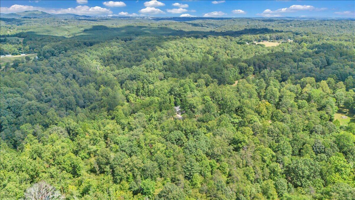 2011 Deep Woods Road Hardy, VA 24101 - Photo 83 of 94 82-DJI_20250901140752_0051_D