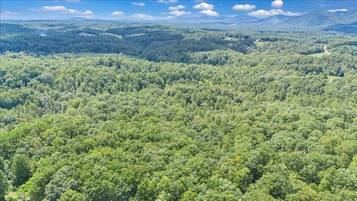 2011 Deep Woods Road Hardy, VA 24101 - Photo 88 of 94 87-DJI_20250901141926_0056_D
