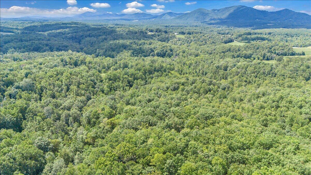 2011 Deep Woods Road Hardy, VA 24101 - Photo 89 of 94 88-DJI_20250901141948_0057_D