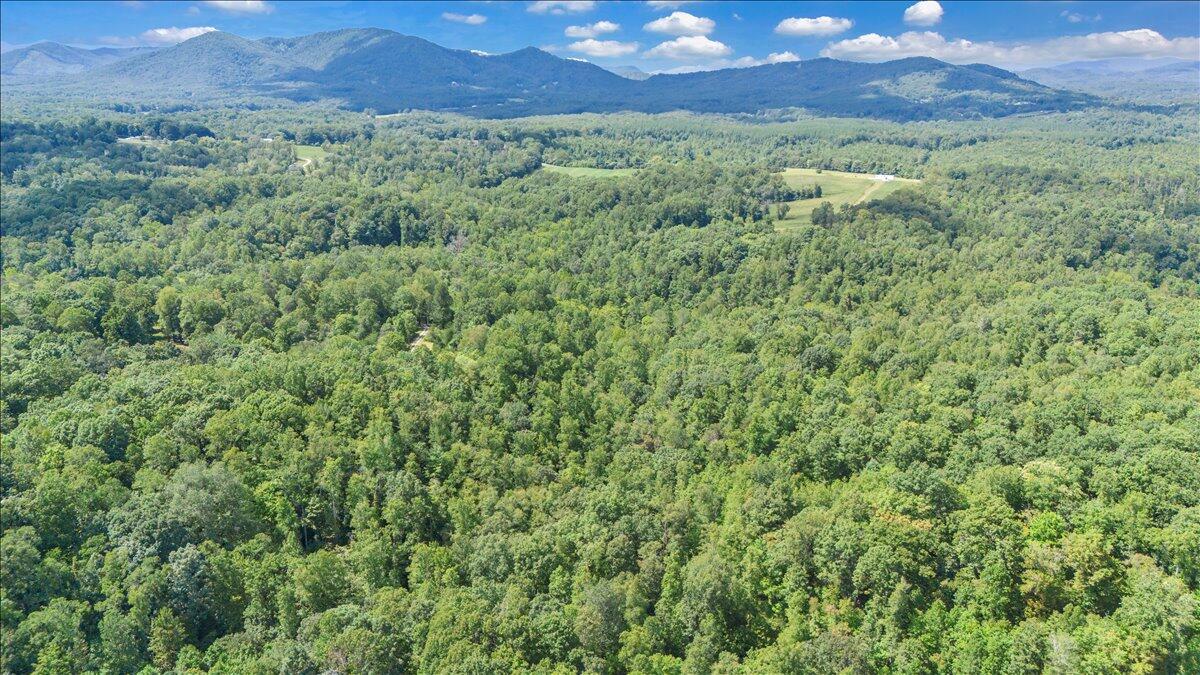 2011 Deep Woods Road Hardy, VA 24101 - Photo 90 of 94 89-DJI_20250901142016_0058_D