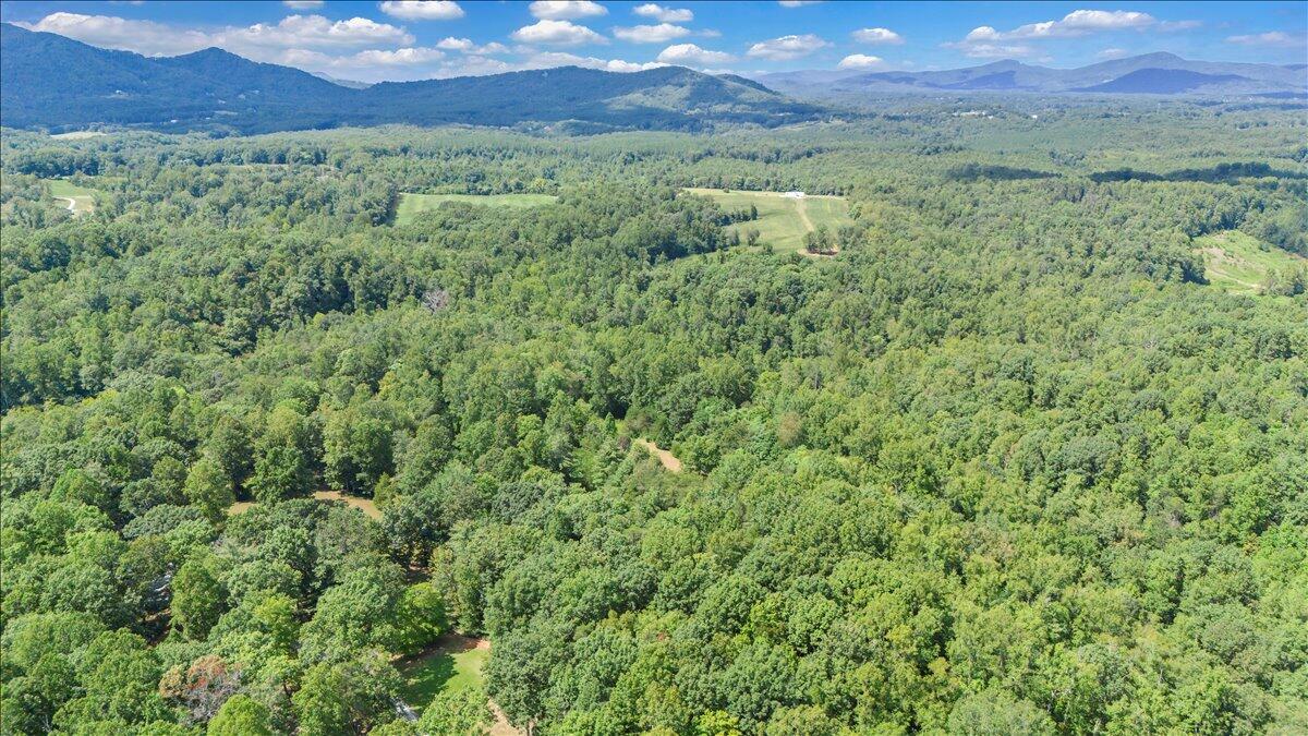 2011 Deep Woods Road Hardy, VA 24101 - Photo 91 of 94 90-DJI_20250901142043_0059_D