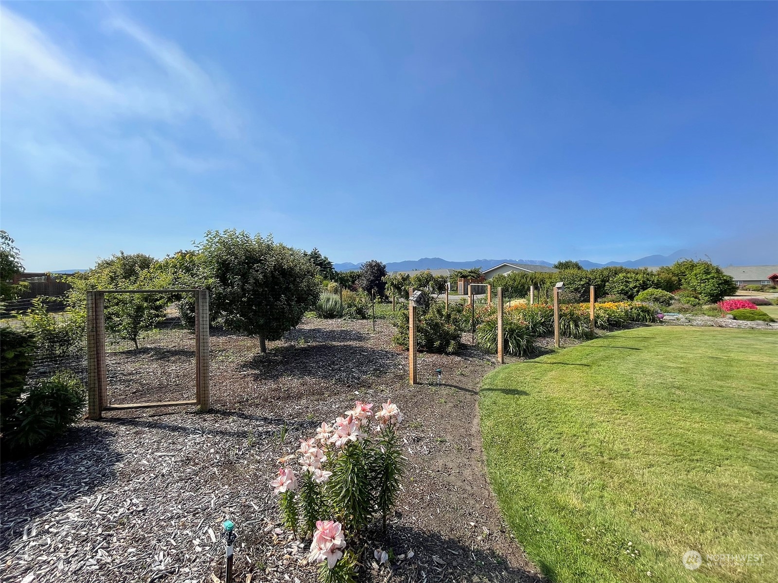 421 Greywolf Road Sequim, WA 98382 - Photo 33 of 40 a view of a garden with houses