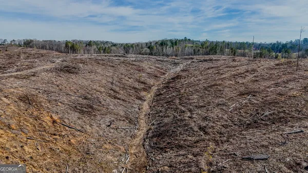 a view of a yard with wooden fence