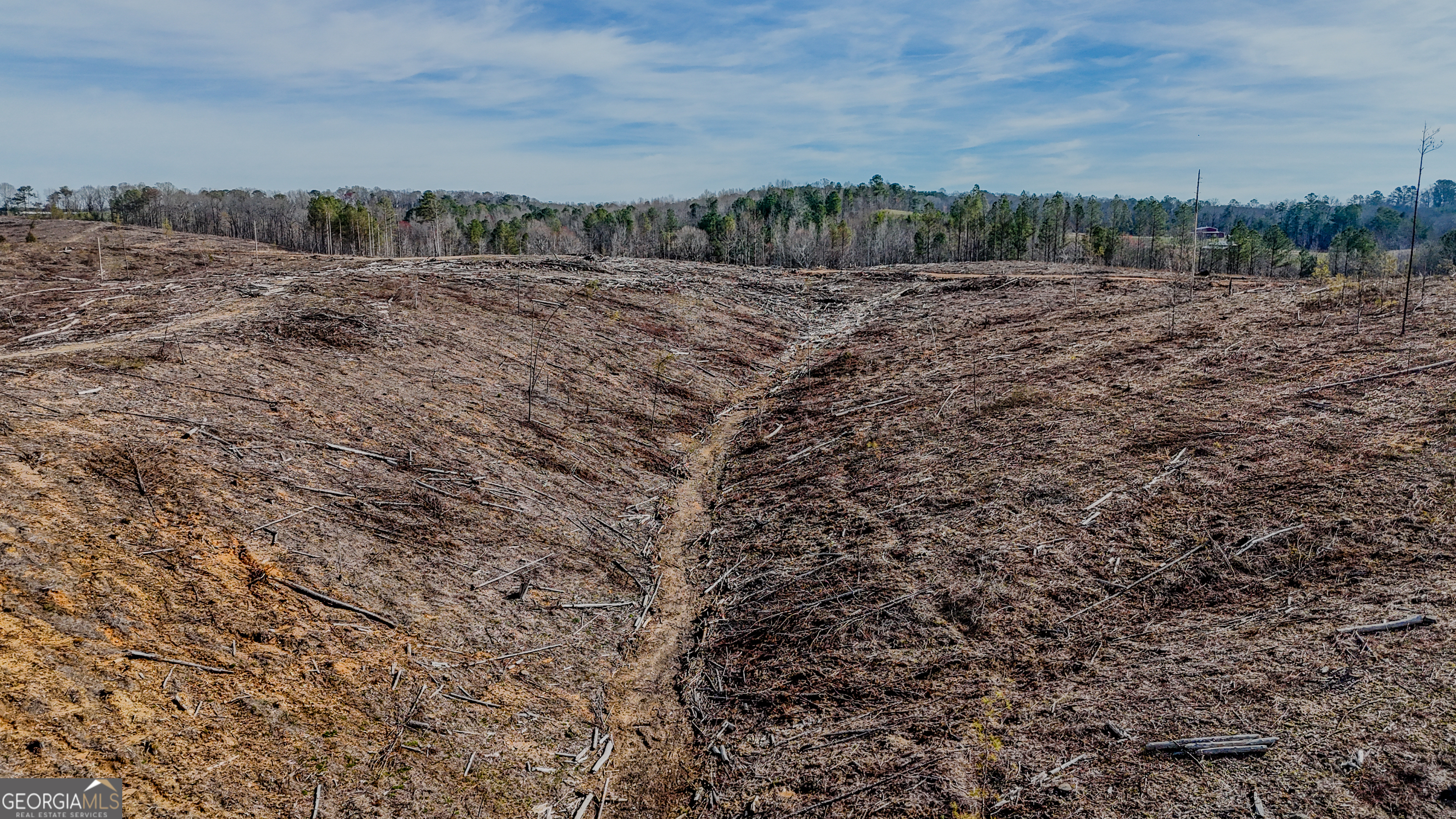 0 Hagood Road Tallapoosa, GA 30176 - Photo 11 of 19 a view of a dry yard with wooden fence