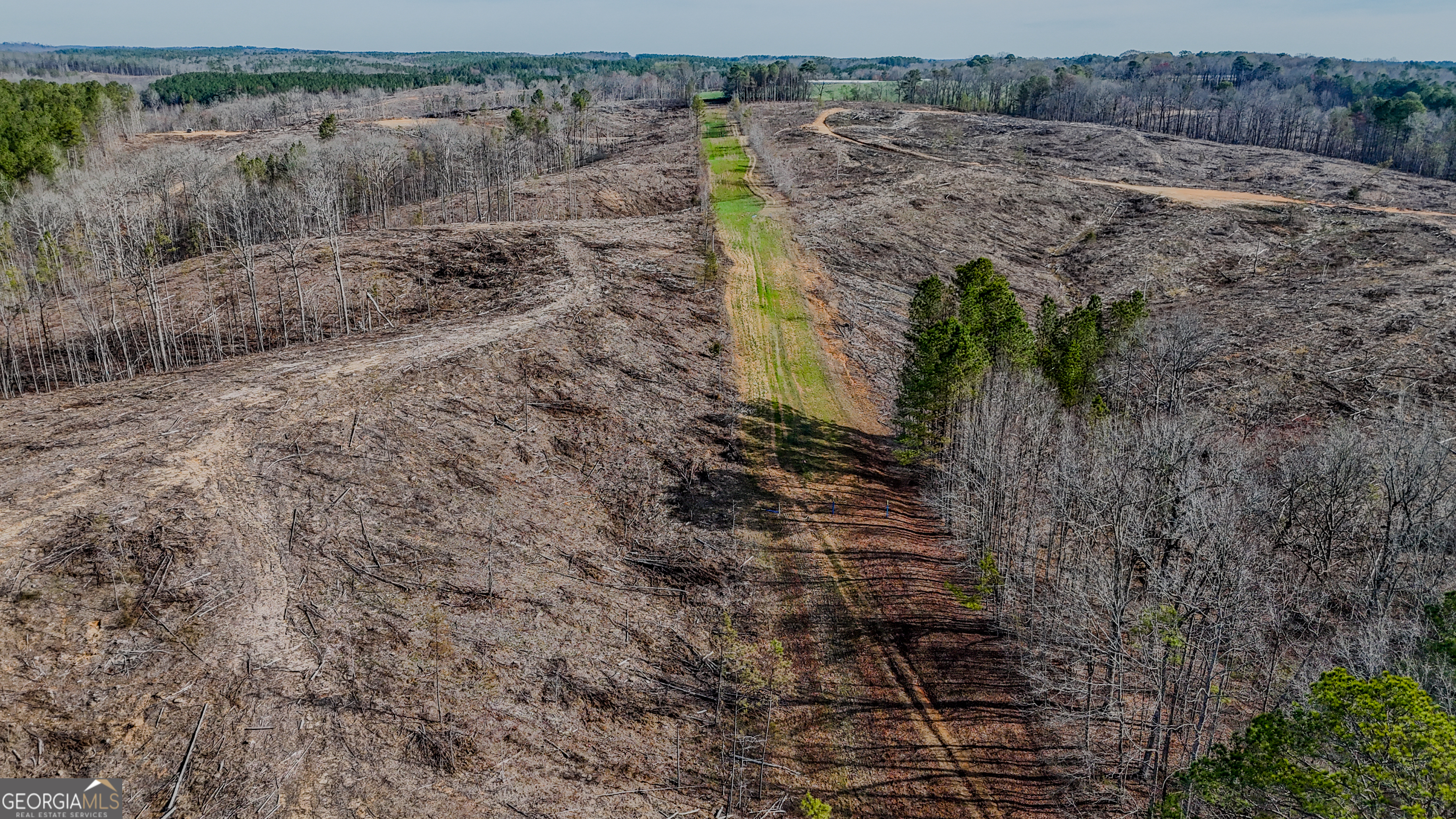 0 Hagood Road Tallapoosa, GA 30176 - Photo 12 of 19 a view of a yard with wooden fence