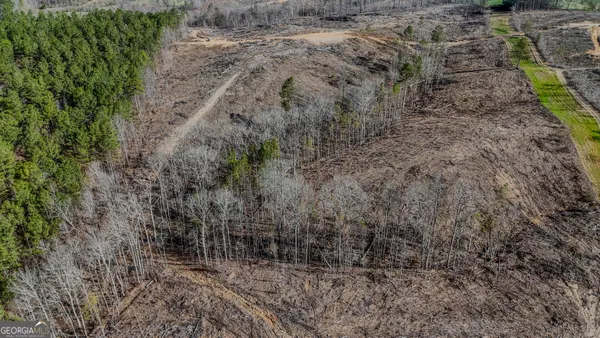 a view of a dry yard with trees