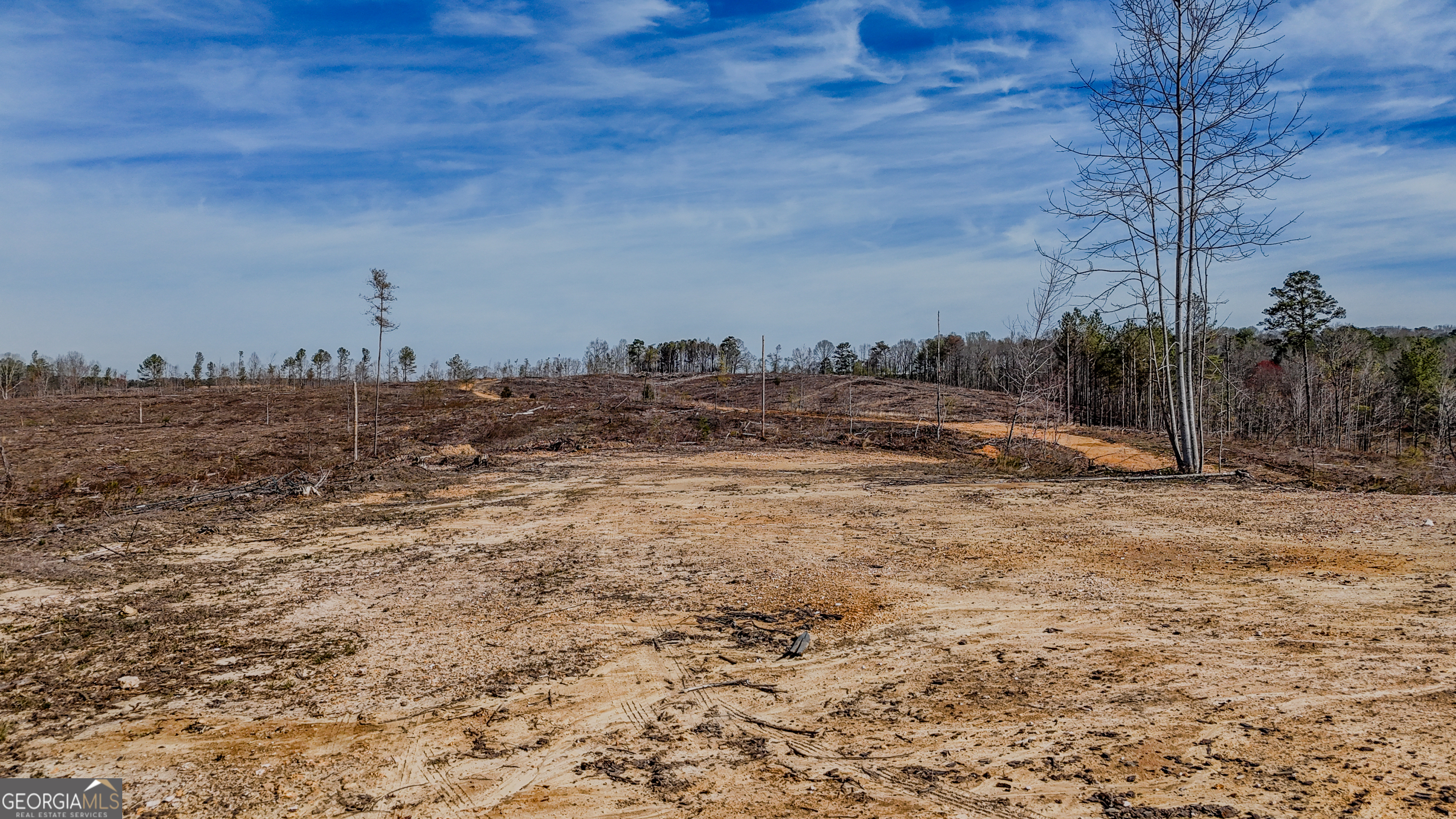 0 Hagood Road Tallapoosa, GA 30176 - Photo 15 of 19 a view of a dry yard with trees