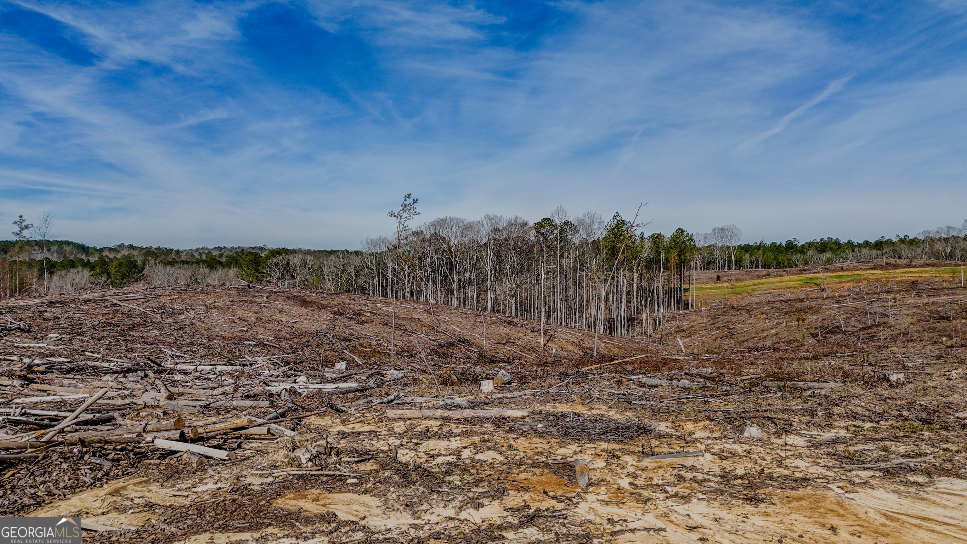 0 Hagood Road Tallapoosa, GA 30176 - Photo 16 of 19 a view of a lake with houses in the back