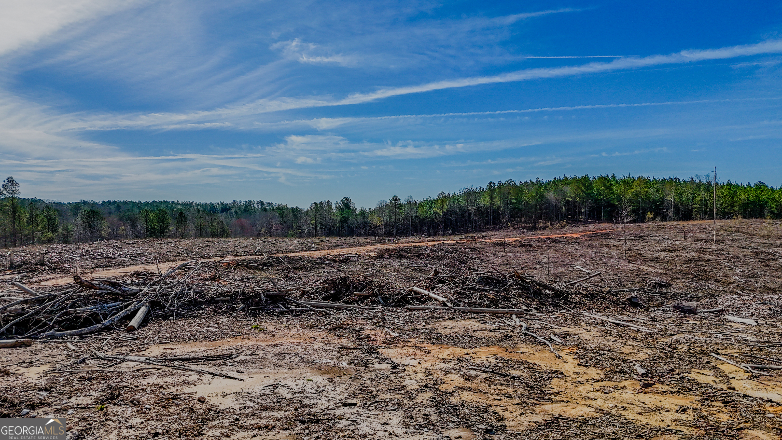 0 Hagood Road Tallapoosa, GA 30176 - Photo 17 of 19 a view of a dry yard with wooden fence