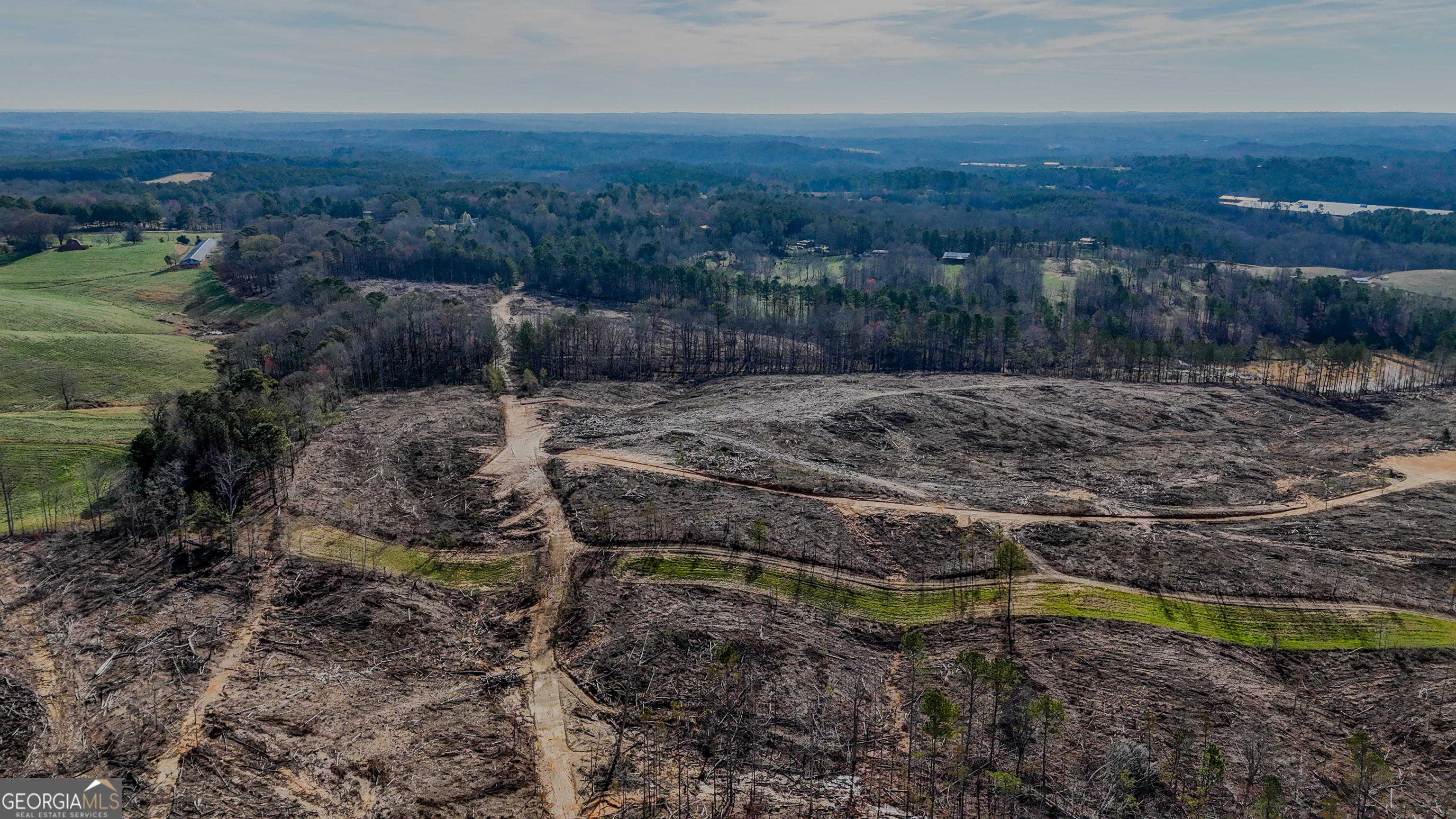 0 Hagood Road Tallapoosa, GA 30176 - Photo 2 of 19 a view of a yard