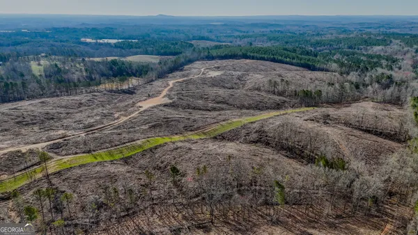 a view of a dry yard with trees