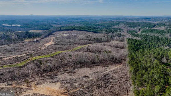 a view of a dry yard with and green space