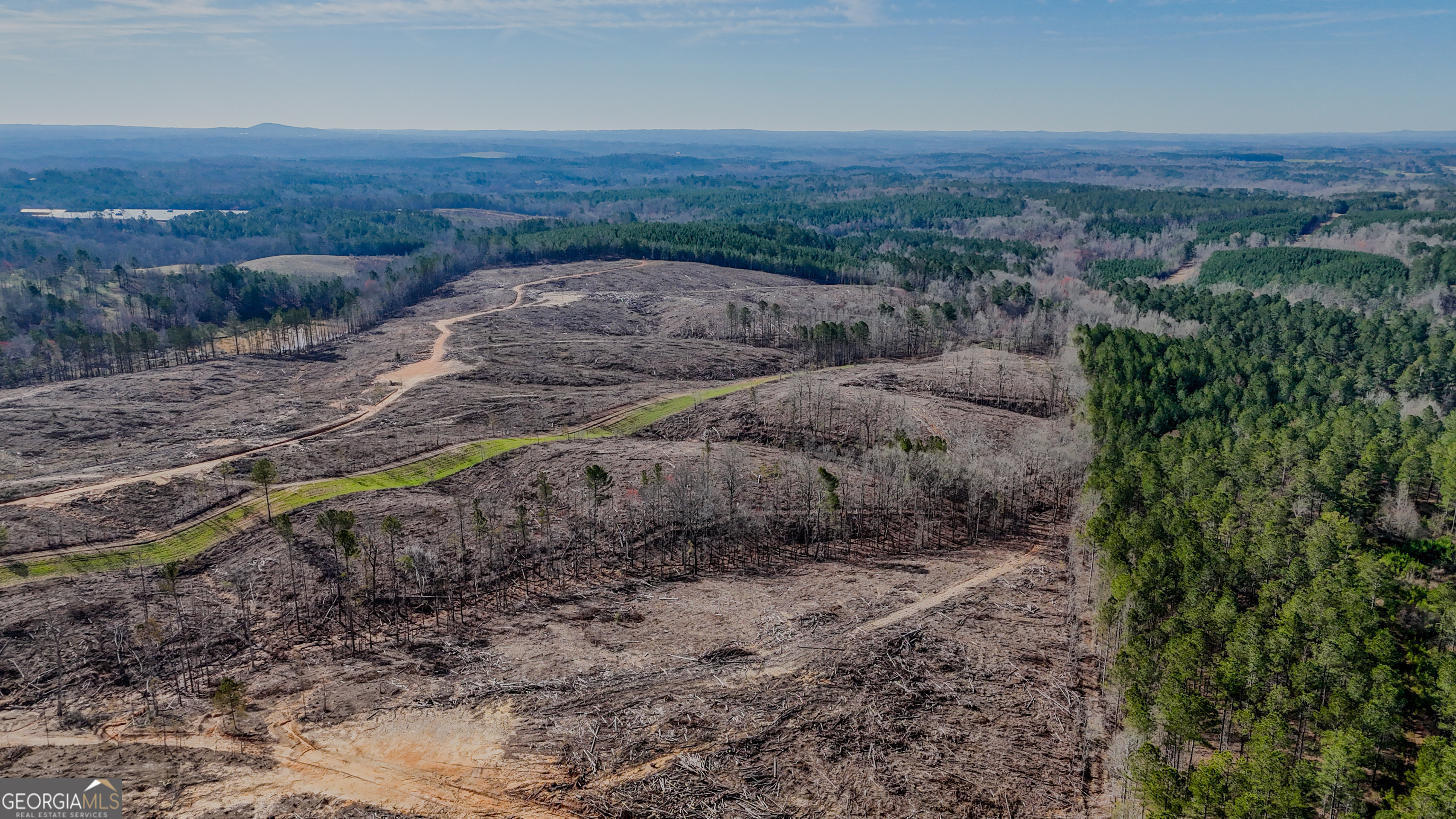 0 Hagood Road Tallapoosa, GA 30176 - Photo 4 of 19 a view of a dry yard with and green space