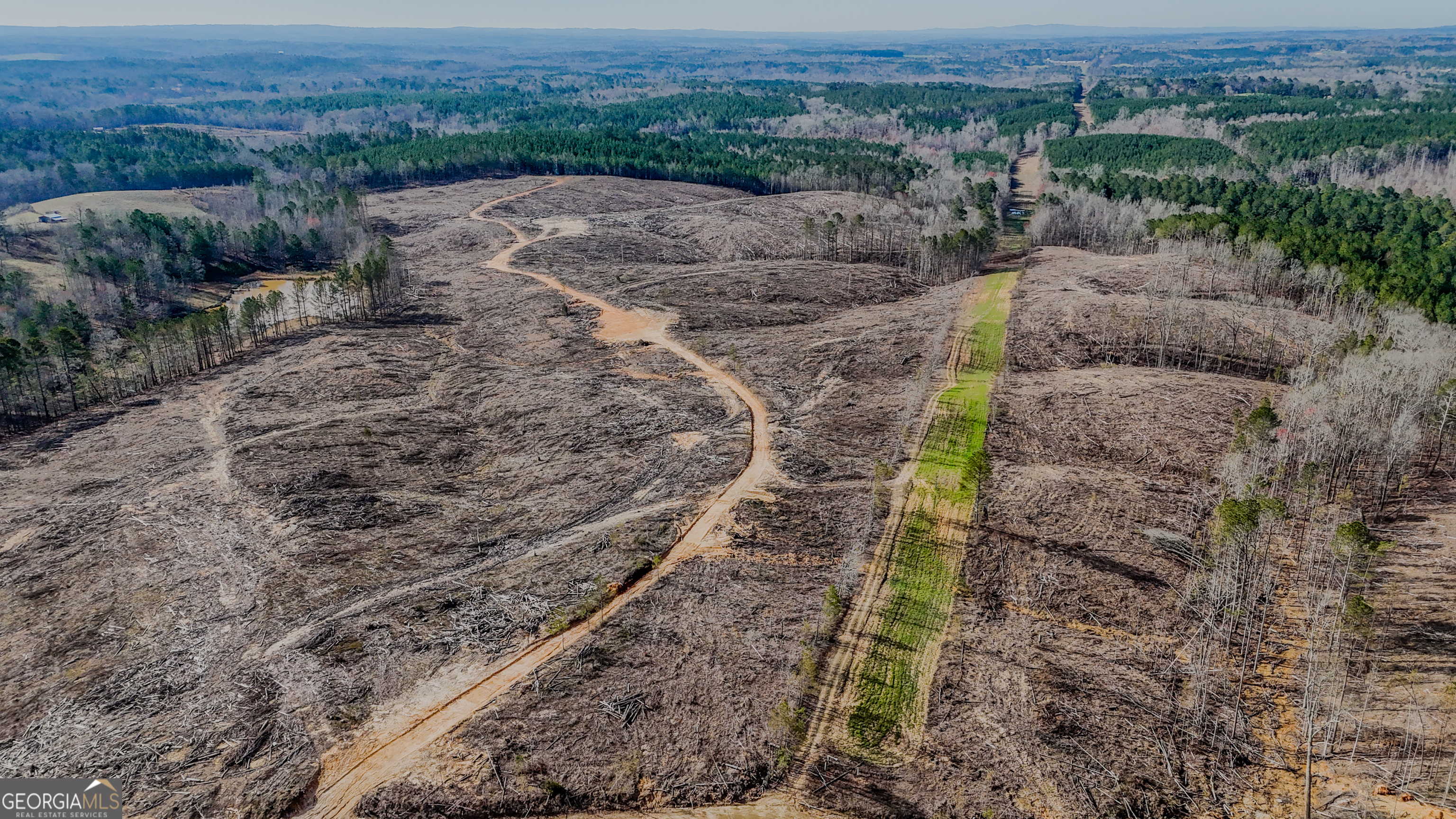0 Hagood Road Tallapoosa, GA 30176 - Photo 5 of 19 a view of outdoor space and mountain view